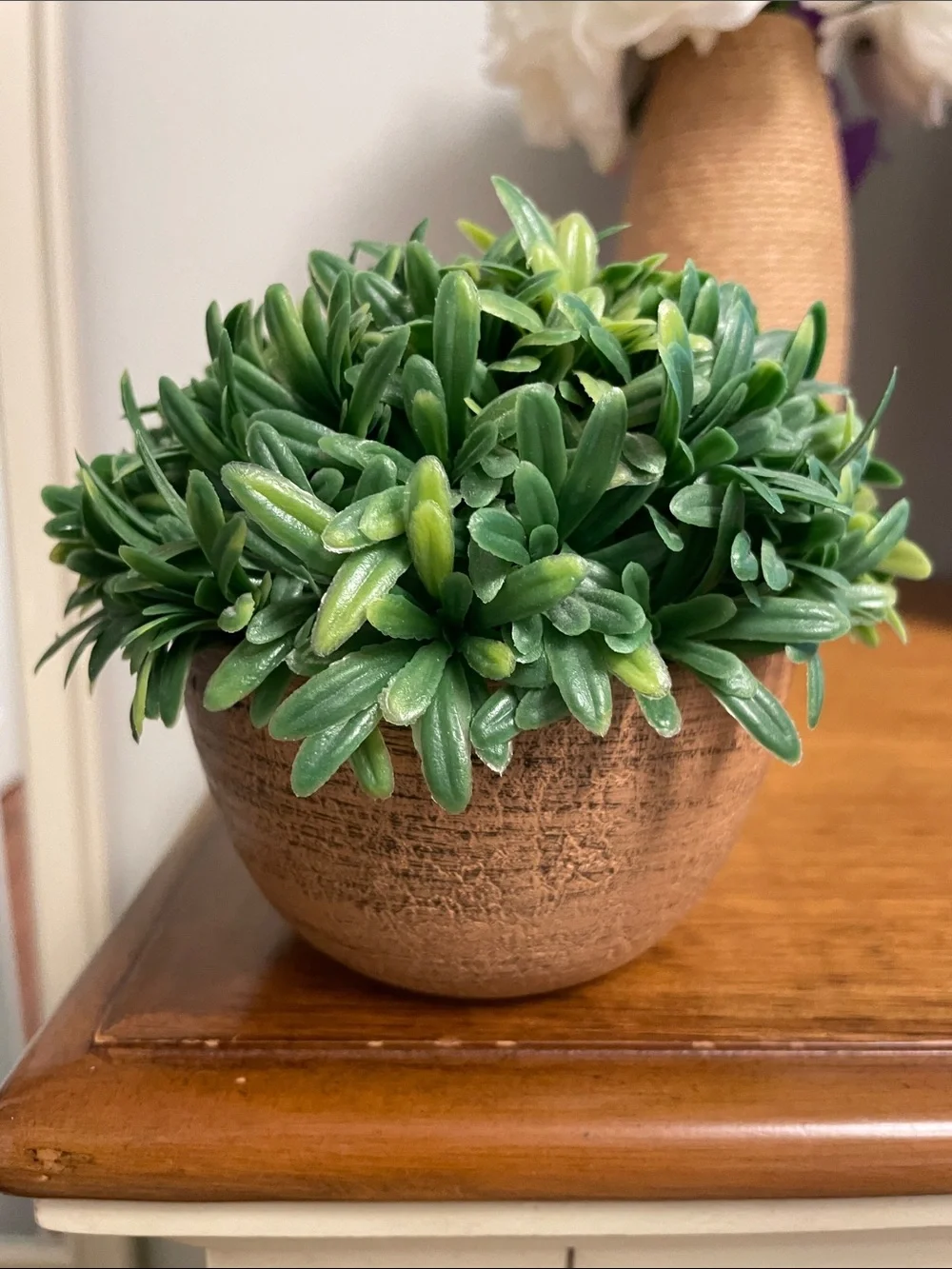 Artificial Small Potted Plant Greenery in Ceramic Round Pot